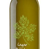 bodega-familia-chavarri-wine-lagar-de-indra