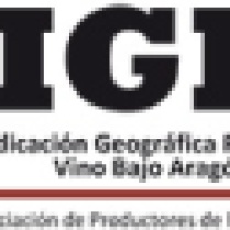 logo-igp1